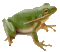 amphibious assault
