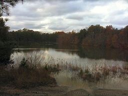 the lake - tpcx